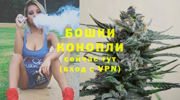 спайс Богородицк