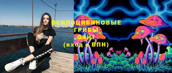 спайс Богородицк