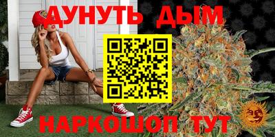 2c-b Кингисепп