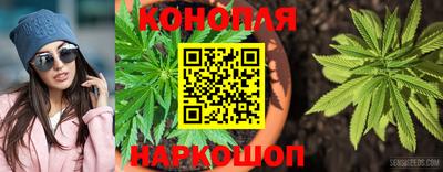 2c-b Кингисепп