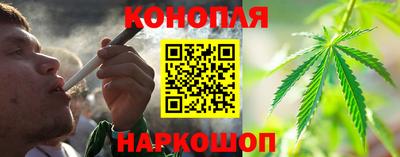 2c-b Кингисепп