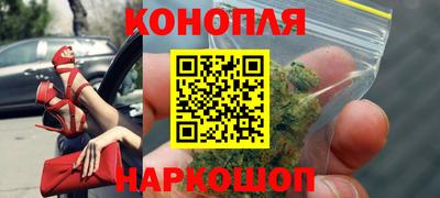2c-b Кингисепп
