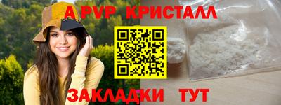 2c-b Кингисепп