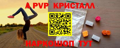 2c-b Кингисепп