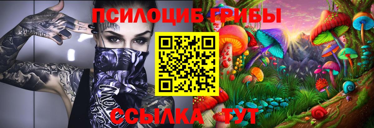 Псилоцибиновые грибы Cubensis Великий Устюг